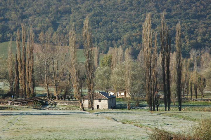 DSC_0272