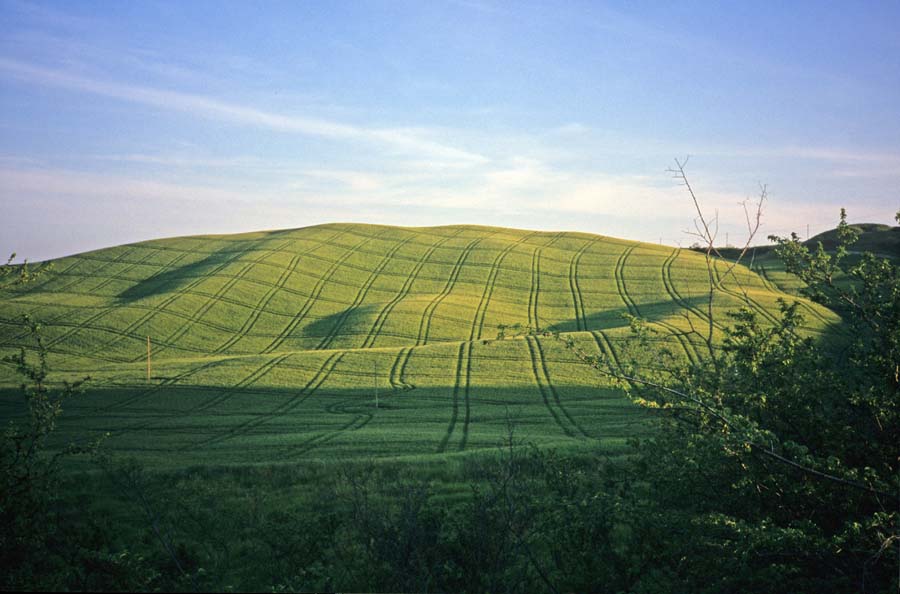 Raduro2001_002