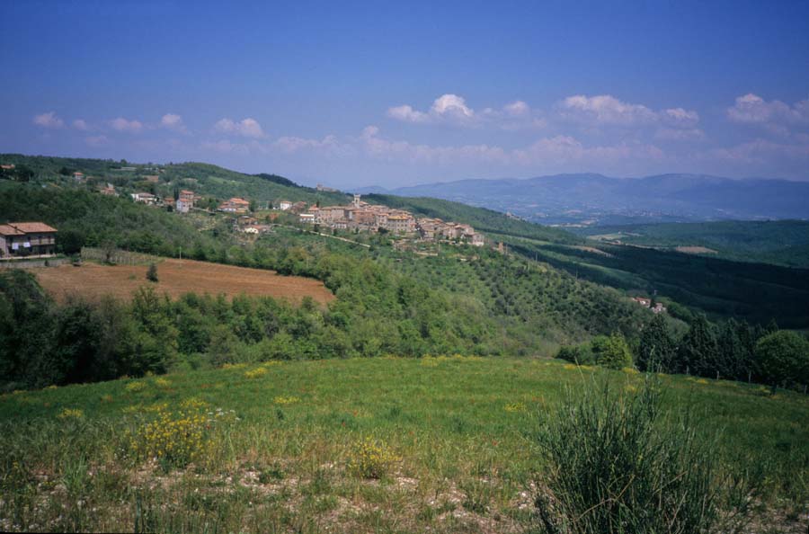 Raduro2001_011